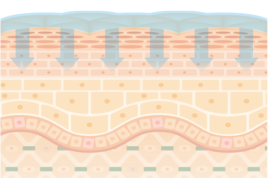 塗るだけのケア