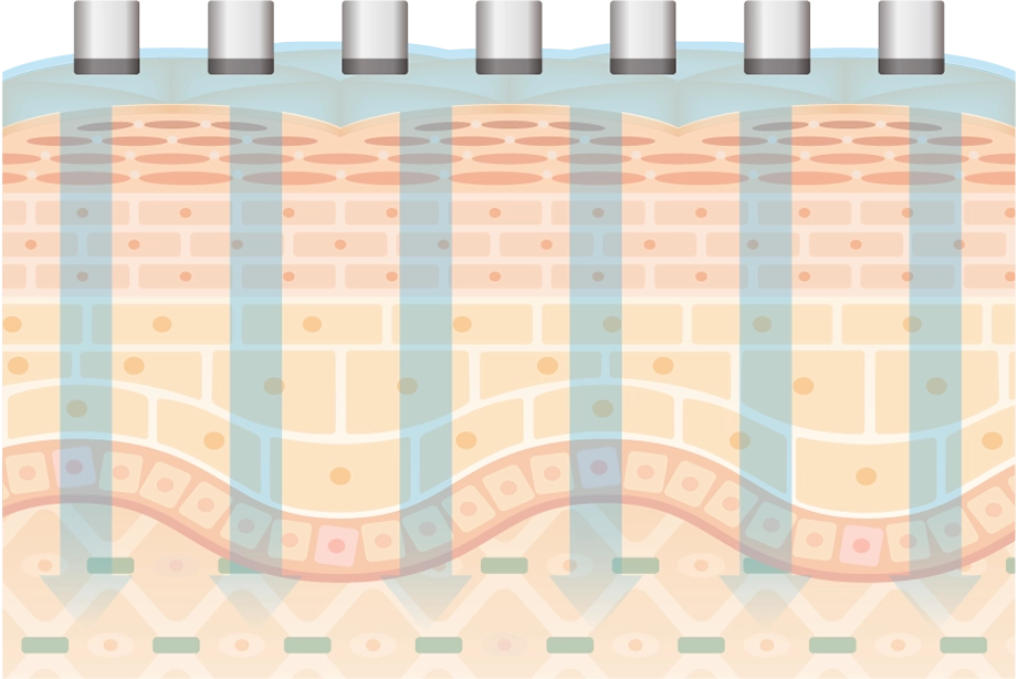 エレクトロポレーションならしっかりと導入